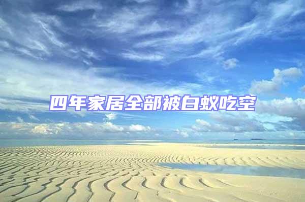 四年家居全部被白蚁吃空