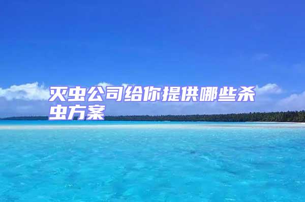 灭虫公司给你提供哪些杀虫方案