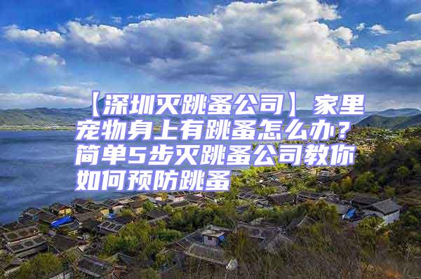 【深圳灭跳蚤公司】家里宠物身上有跳蚤怎么办？简单5步灭跳蚤公司教你如何预防跳蚤