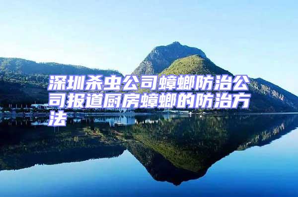 深圳杀虫公司蟑螂防治公司报道厨房蟑螂的防治方法