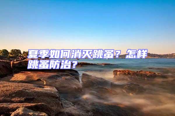 夏季如何消灭跳蚤？怎样跳蚤防治？