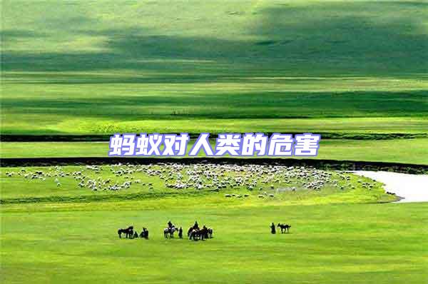 蚂蚁对人类的危害