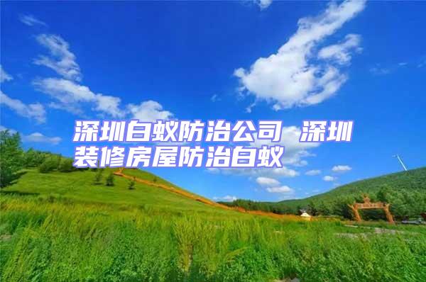 深圳白蚁防治公司 深圳装修房屋防治白蚁