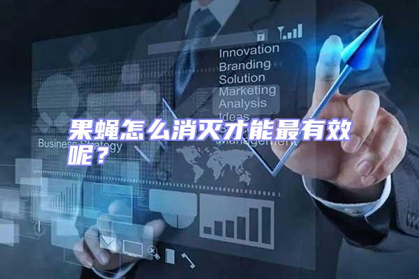 果蝇怎么消灭才能最有效呢？