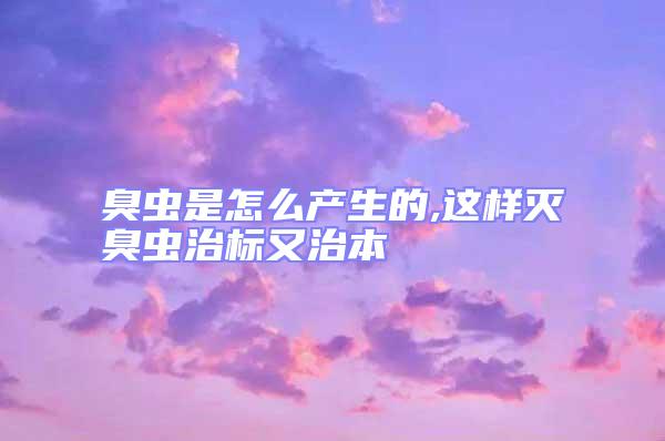 臭虫是怎么产生的,这样灭臭虫治标又治本