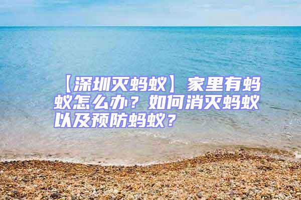 【深圳灭蚂蚁】家里有蚂蚁怎么办？如何消灭蚂蚁以及预防蚂蚁？