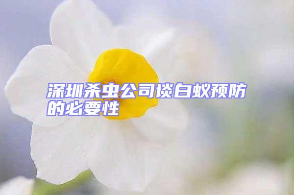 深圳杀虫公司谈白蚁预防的必要性