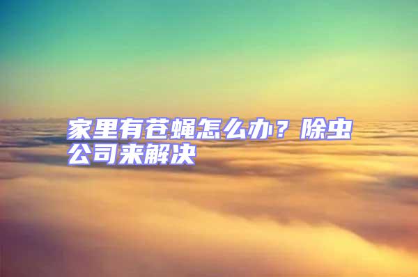 家里有苍蝇怎么办？除虫公司来解决