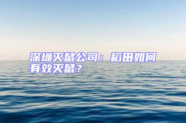 深圳灭鼠公司：稻田如何有效灭鼠？