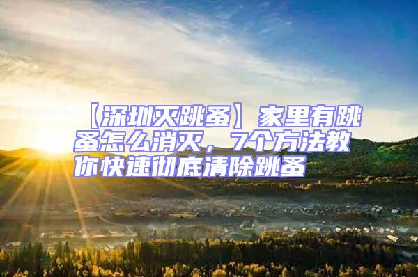 【深圳灭跳蚤】家里有跳蚤怎么消灭，7个方法教你快速彻底清除跳蚤