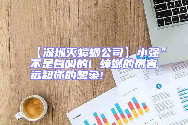 【深圳灭蟑螂公司】小强”不是白叫的! 蟑螂的厉害远超你的想象!