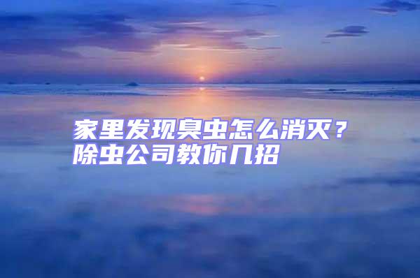 家里发现臭虫怎么消灭？除虫公司教你几招