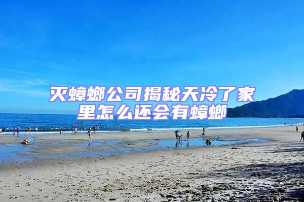 灭蟑螂公司揭秘天冷了家里怎么还会有蟑螂