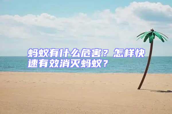 蚂蚁有什么危害？怎样快速有效消灭蚂蚁？