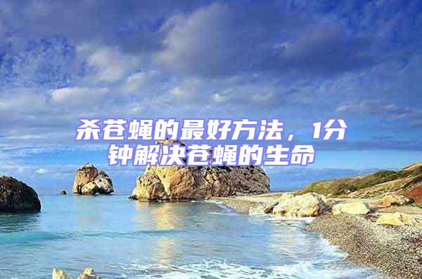杀苍蝇的最好方法，1分钟解决苍蝇的生命