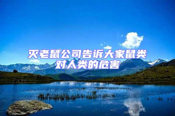 灭老鼠公司告诉大家鼠类对人类的危害