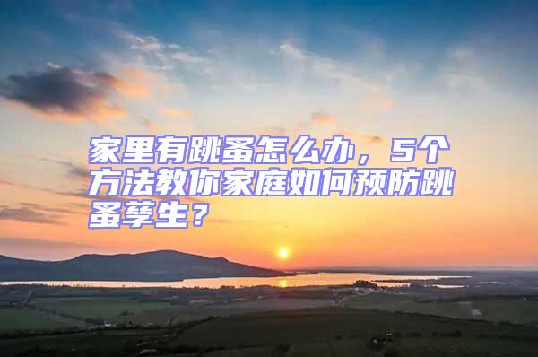 家里有跳蚤怎么办，5个方法教你家庭如何预防跳蚤孳生？