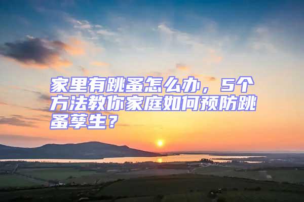 家里有跳蚤怎么办，5个方法教你家庭如何预防跳蚤孳生？