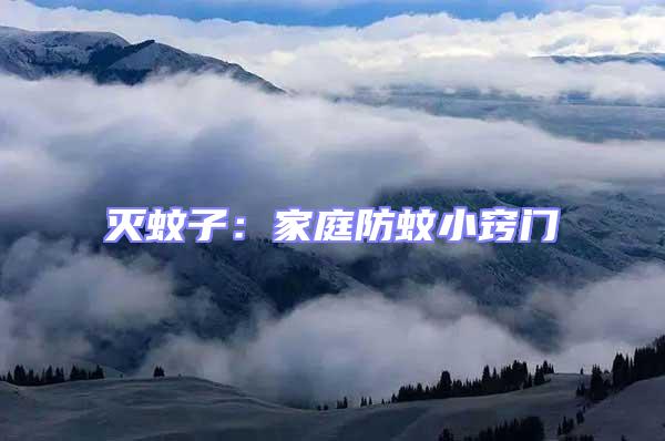 灭蚊子：家庭防蚊小窍门