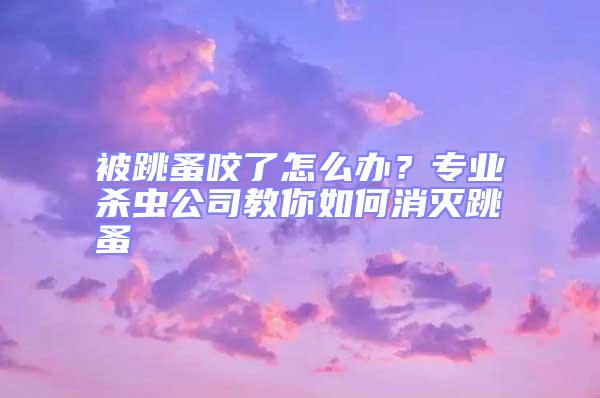 被跳蚤咬了怎么办？专业杀虫公司教你如何消灭跳蚤