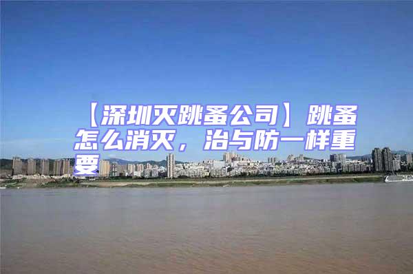 【深圳灭跳蚤公司】跳蚤怎么消灭，治与防一样重要