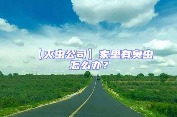 【灭虫公司】家里有臭虫怎么办？