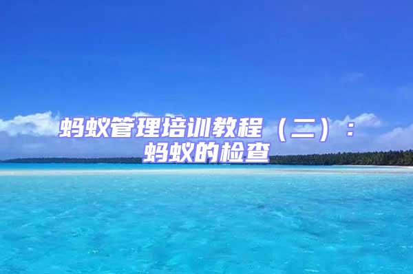 蚂蚁管理培训教程（二）：蚂蚁的检查