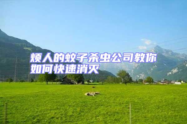 烦人的蚊子杀虫公司教你如何快速消灭