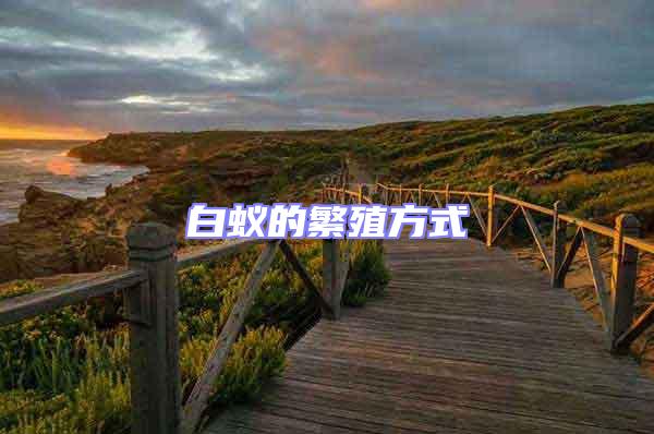 白蚁的繁殖方式