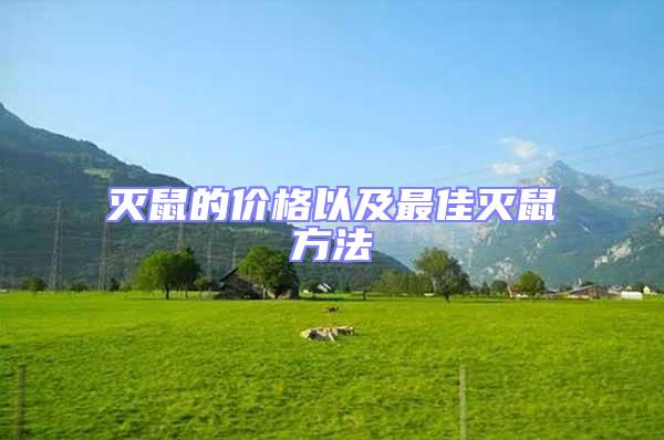 灭鼠的价格以及最佳灭鼠方法
