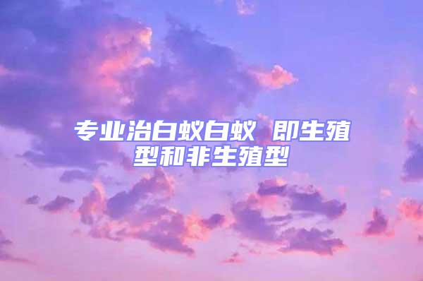 专业治白蚁白蚁 即生殖型和非生殖型