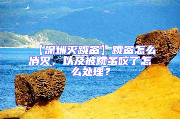 【深圳灭跳蚤】跳蚤怎么消灭，以及被跳蚤咬了怎么处理？