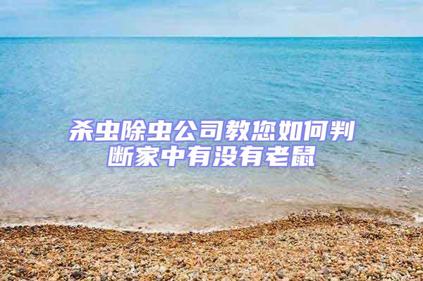 杀虫除虫公司教您如何判断家中有没有老鼠