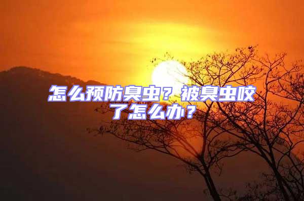 怎么预防臭虫？被臭虫咬了怎么办？