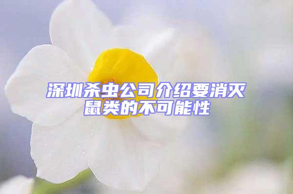 深圳杀虫公司介绍要消灭鼠类的不可能性