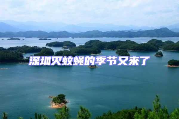 深圳灭蚊蝇的季节又来了