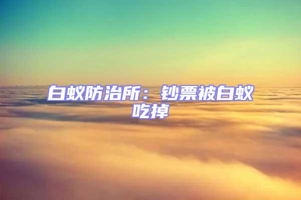 白蚁防治所：钞票被白蚁吃掉