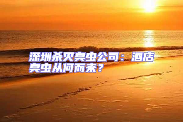深圳杀灭臭虫公司：酒店臭虫从何而来？