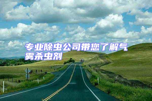 专业除虫公司带您了解气雾杀虫剂