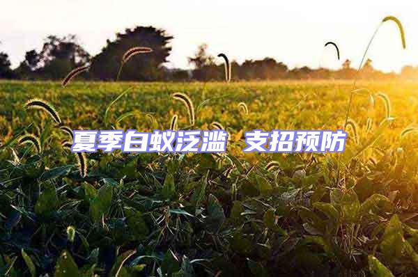 夏季白蚁泛滥 支招预防