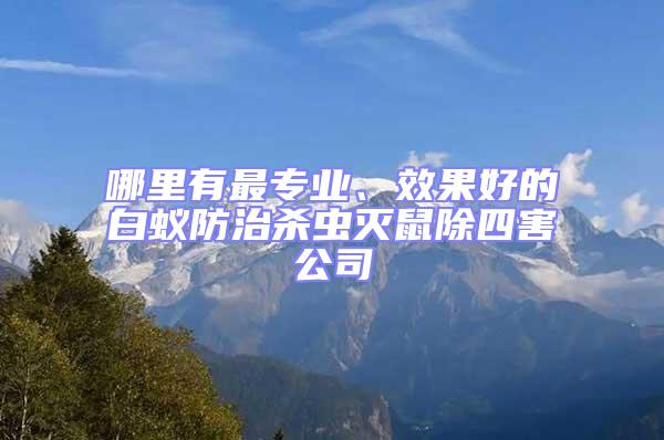 哪里有最专业、效果好的白蚁防治杀虫灭鼠除四害公司