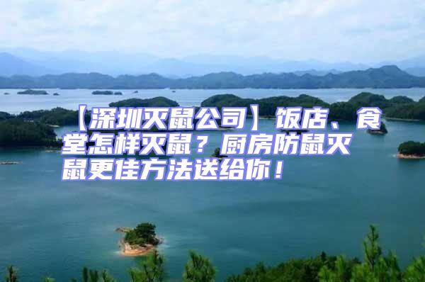 【深圳灭鼠公司】饭店、食堂怎样灭鼠？厨房防鼠灭鼠更佳方法送给你！