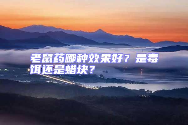 老鼠药哪种效果好？是毒饵还是蜡块？