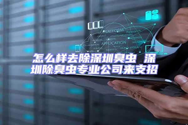怎么样去除深圳臭虫 深圳除臭虫专业公司来支招