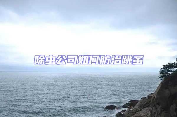 除虫公司如何防治跳蚤