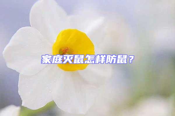 家庭灭鼠怎样防鼠？