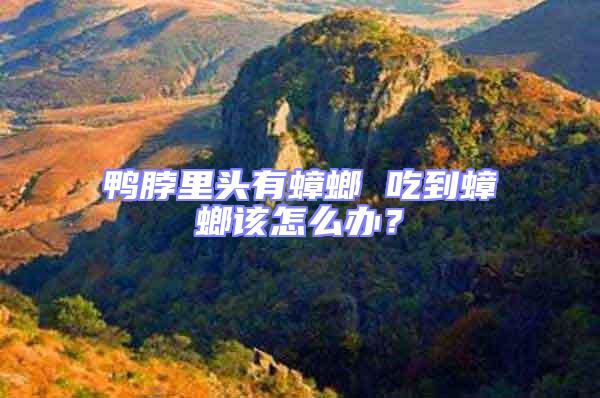 鸭脖里头有蟑螂 吃到蟑螂该怎么办？