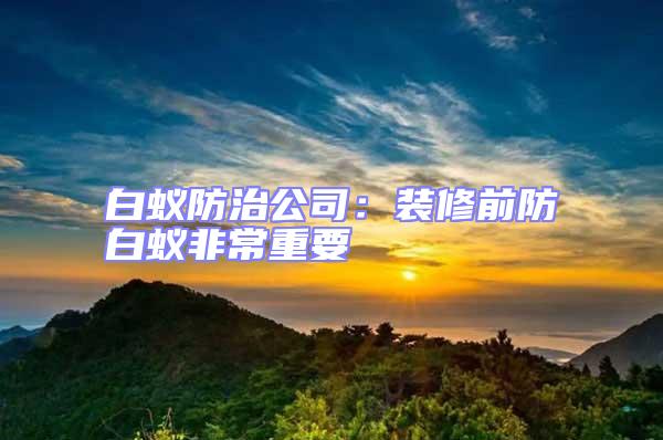 白蚁防治公司：装修前防白蚁非常重要