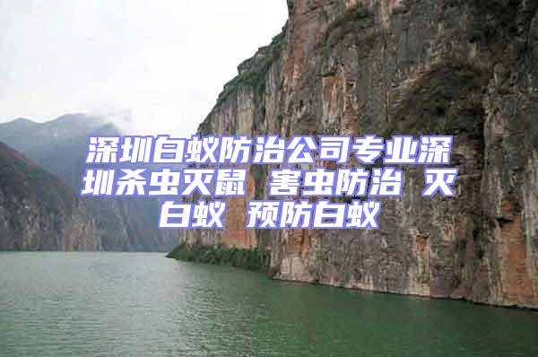 深圳白蚁防治公司专业深圳杀虫灭鼠 害虫防治 灭白蚁 预防白蚁