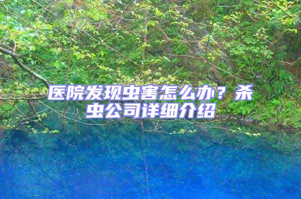 医院发现虫害怎么办？杀虫公司详细介绍